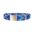 Abstract Paint Splash Dog Collar - metal silver