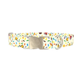 Birthday Boy Celebration Dog Collar - metal silver