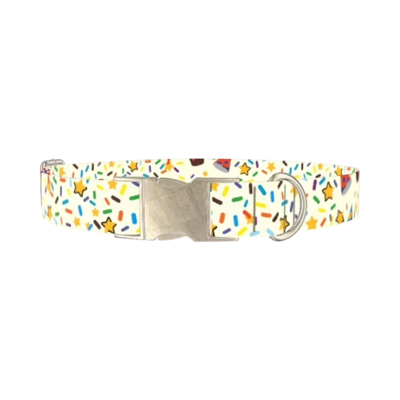 Birthday Boy Celebration Dog Collar - metal silver