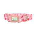 Christmas Gift Dog Collar - plastic rose gold