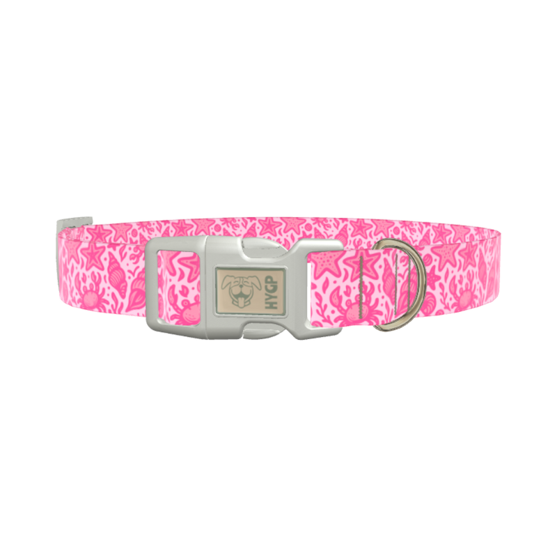 Seashell Ocean Dog Collar - plastic gold
