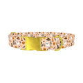 Spooky Potion Halloween Dog Collar - metal gold