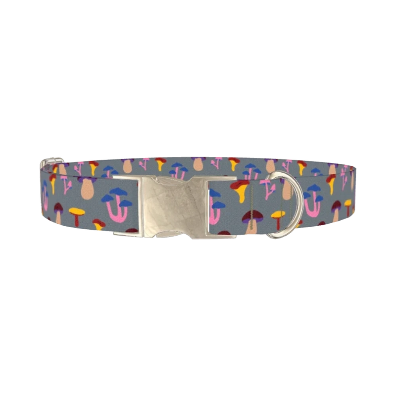 Colorful Mushroom Dog Collar - metal silver