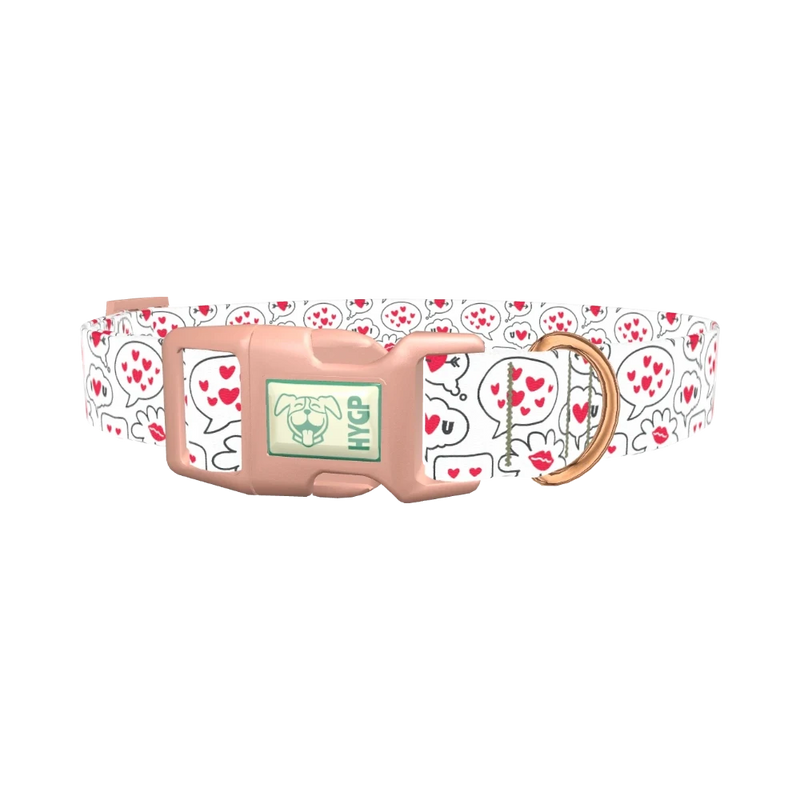 Romantic Speech Bubble Dog Collar - plastic rose gold