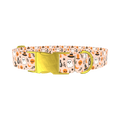 Spooky Potion Halloween Dog Collar - metal rose gold