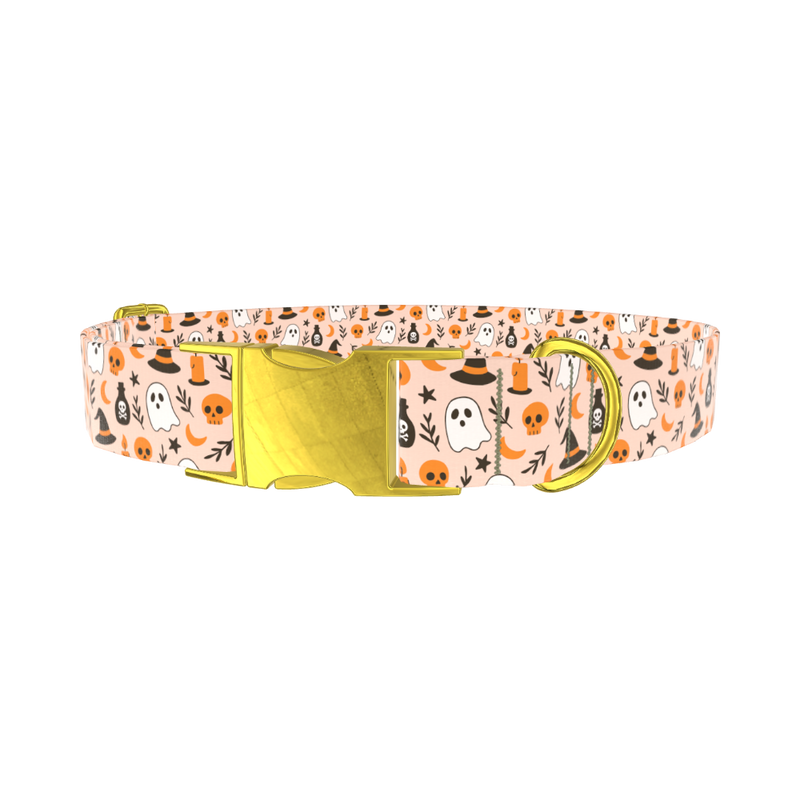 Spooky Potion Halloween Dog Collar - metal rose gold