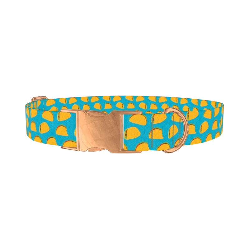 Blue Taco Dog Collar - metal rose gold