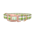 Multicolor Tartan Dog Collar - plastic rose gold