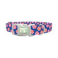 Blue Peppermint Swirl Dog Collar - plastic silver