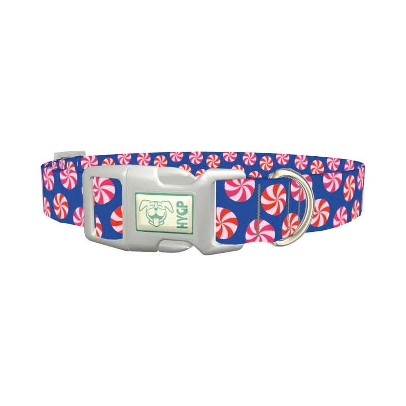 Blue Peppermint Swirl Dog Collar - plastic silver