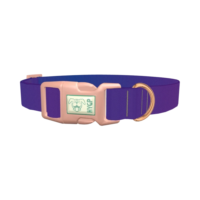 Blue Purple Gradient Dog Collar - plastic rose gold