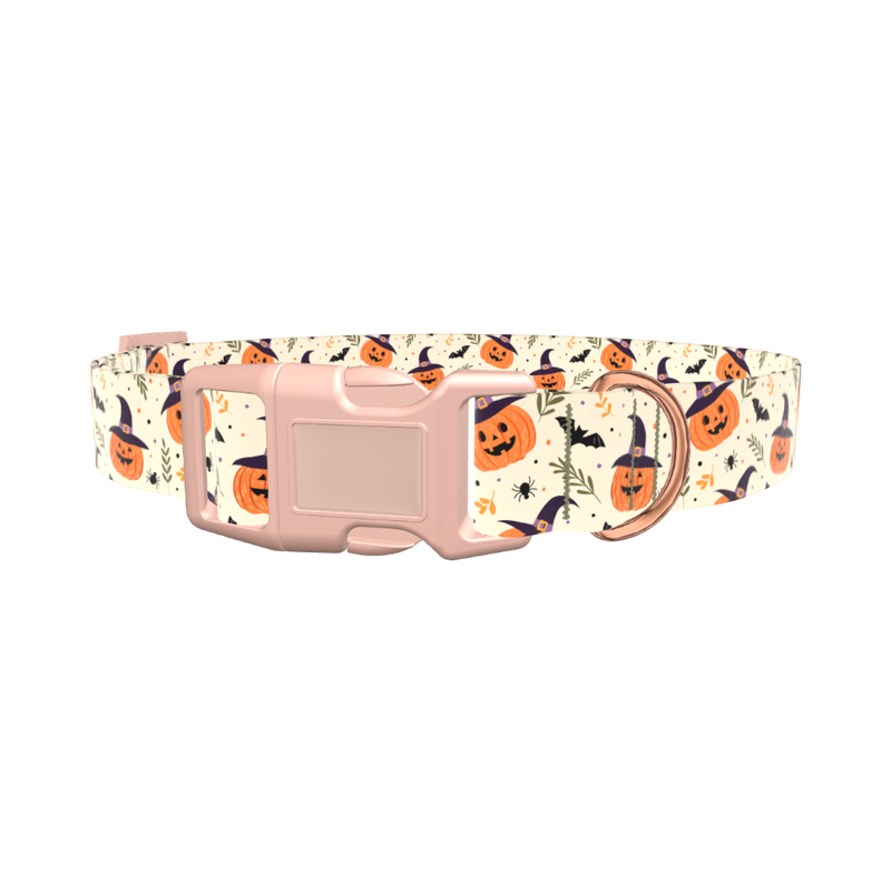 Witchy Pumpkin Halloween Dog Collar - plastic silver