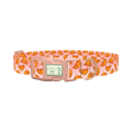 Croissant Pattern Dog Collar - plastic rose gold