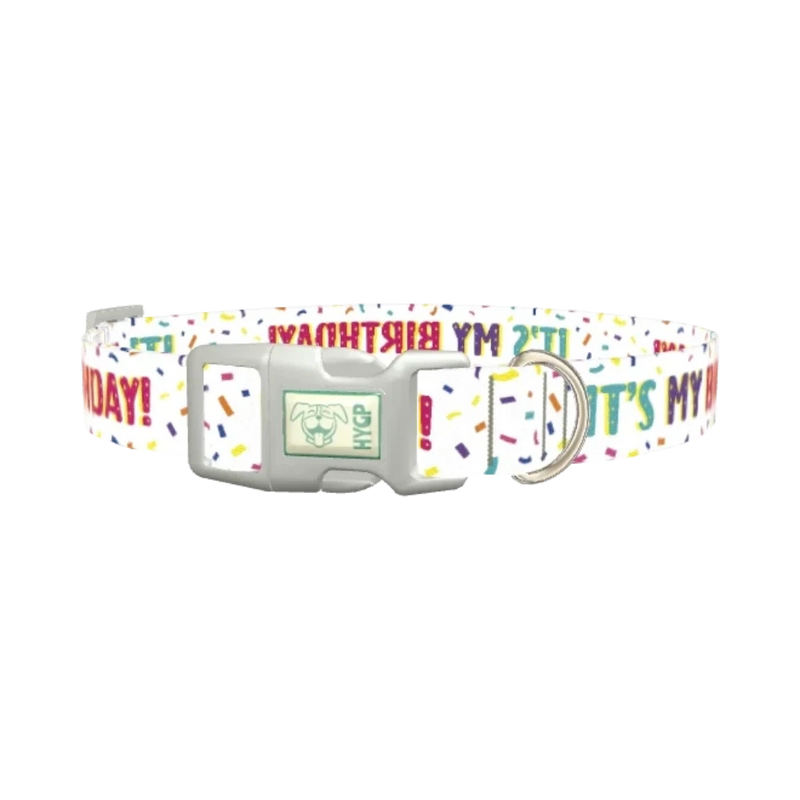 Birthday Confetti Dog Collar - plastic silver