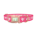 Will You Marry Me Diamond Dog Collar - plastic rose gold