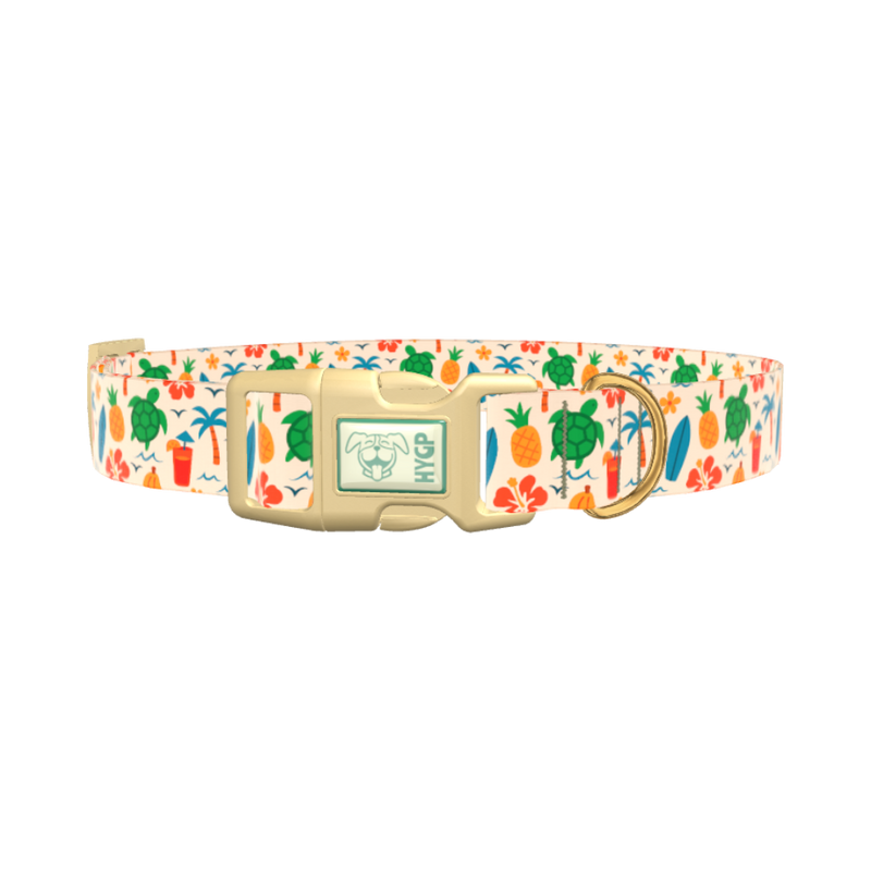Beach Turtle Dog Collar - plastic silver