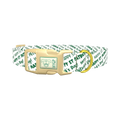 St. Patrick's Day Script Dog Collar - plastic gold