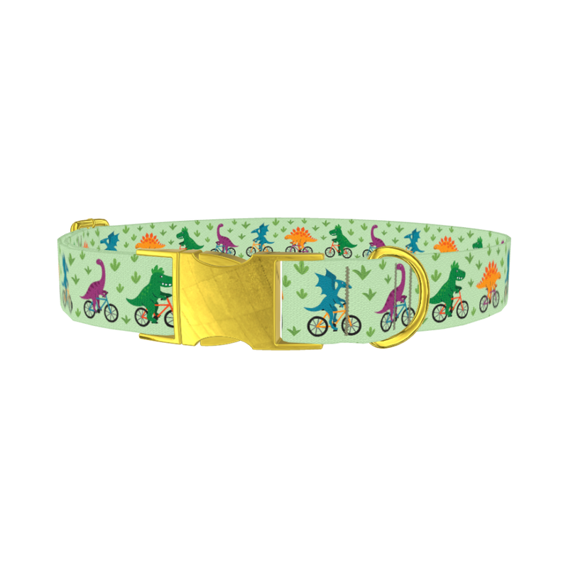 Dinosaur Cycling Dog Collar - plastic gold