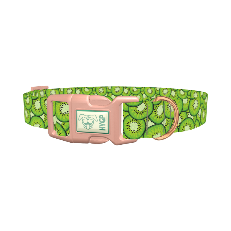 Green Kiwi Slice Dog Collar - plastic rose gold