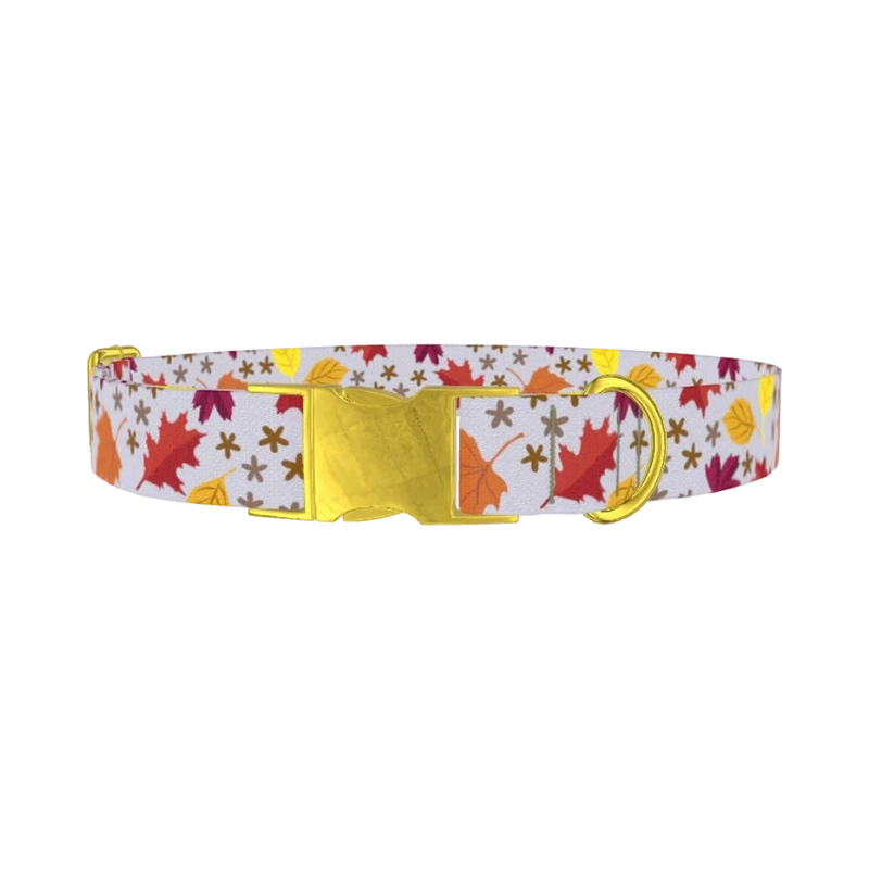 Autumn Acorn Dog Collar - metal gold