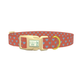 Blue Heart Valentine Dog Collar - plastic gold