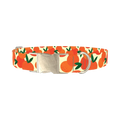 Fruit Orange Dog Collar - metal silver