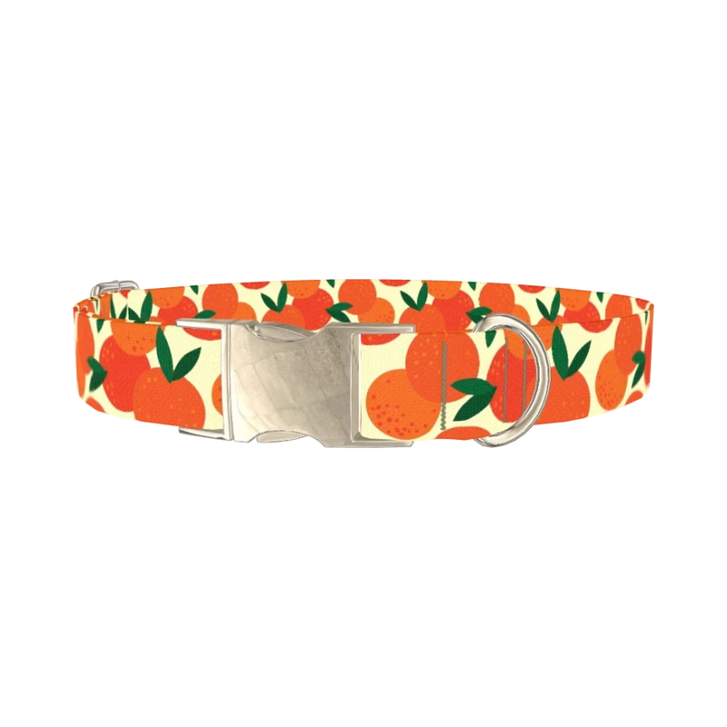 Fruit Orange Dog Collar - metal silver