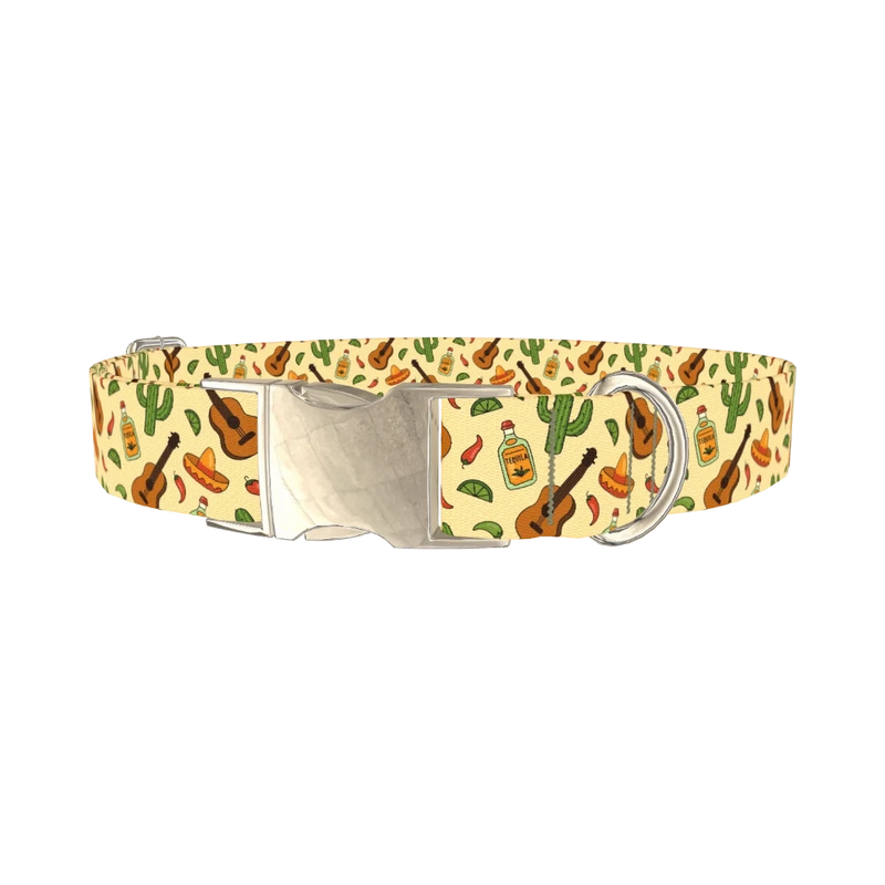 Mexican Fiesta Dog Collar - metal silver