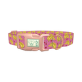 Banana Cherry Dog Collar - plastic rose gold