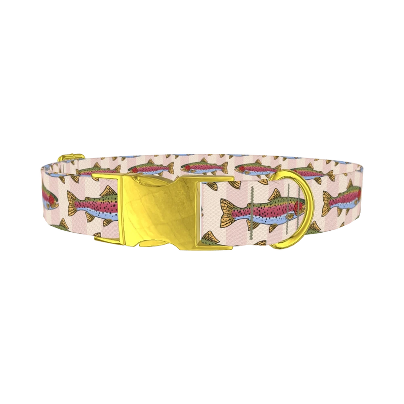 Rainbow Trout Fish Dog Collar - metal gold