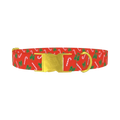 Festive Bows and Candy Canes Dog Collar - metal gold