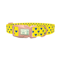Blue Heart Dog Collar - plastic rose gold