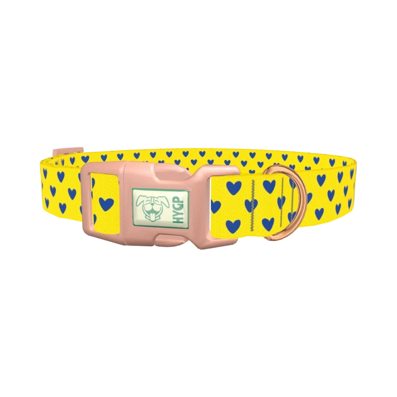 Blue Heart Dog Collar - plastic rose gold