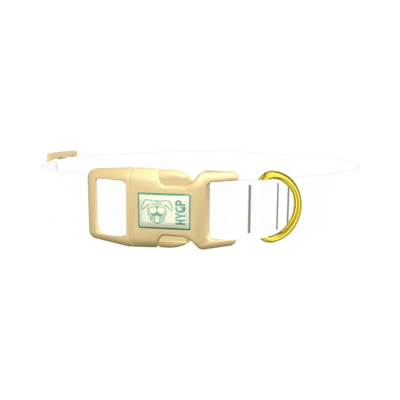 Rose Gold Chain Dog Collar - plastic gold