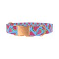 Geometric Watermelon Dog Collar - metal silver