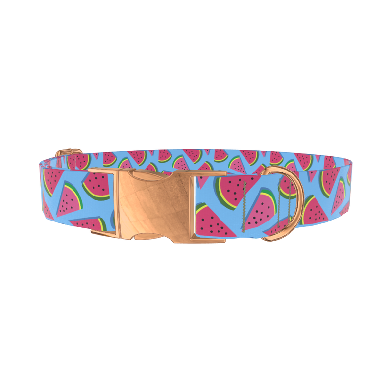 Geometric Watermelon Dog Collar - metal silver