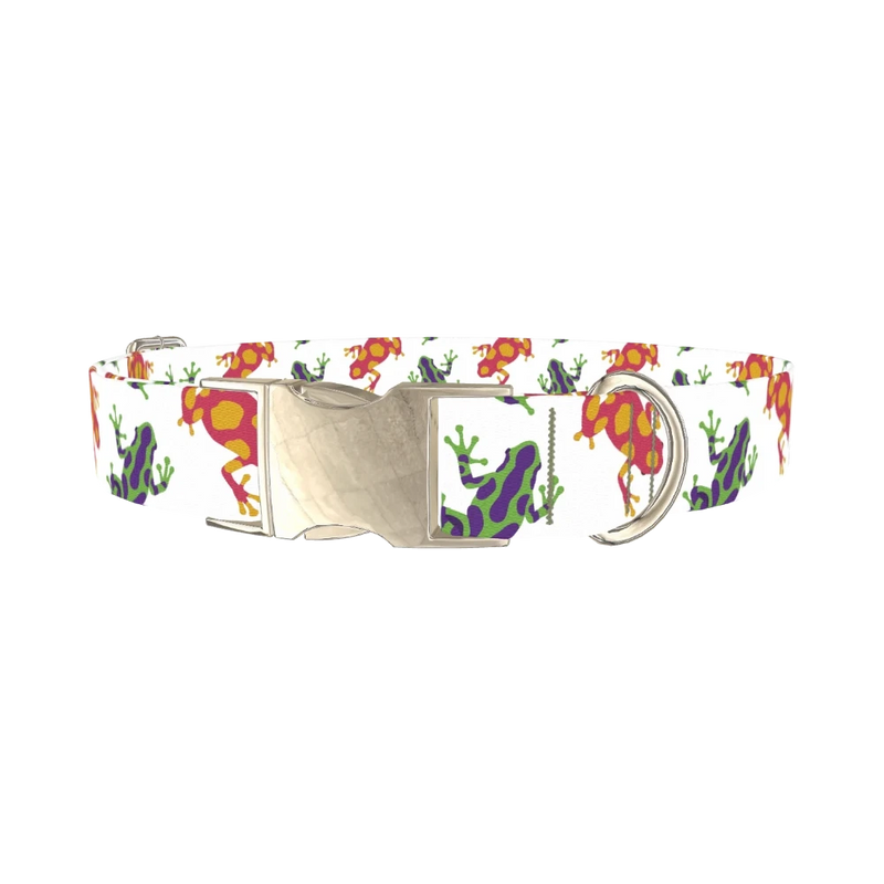 Colorful Frog Pattern Dog Collar - metal silver