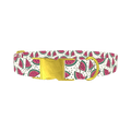 Watermelon Fruit Dog Collar - metal gold