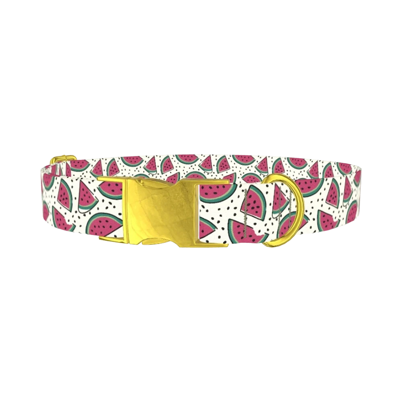 Watermelon Fruit Dog Collar - metal gold