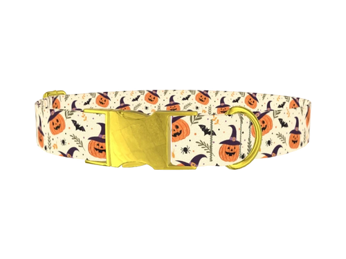 Halloween_WitchyPumpkins_03
