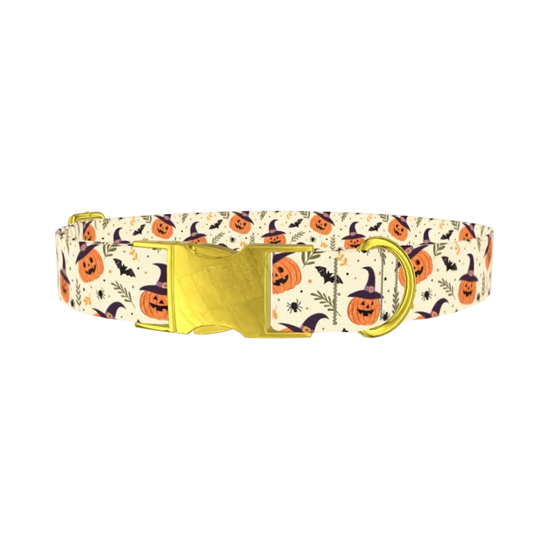 Witchy Pumpkin Halloween Dog Collar - metal gold