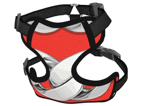 Silver Chain Red Dog Collar
