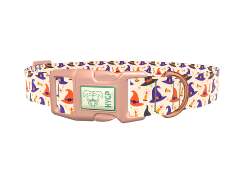 Halloween Witch Hat Dog Collar