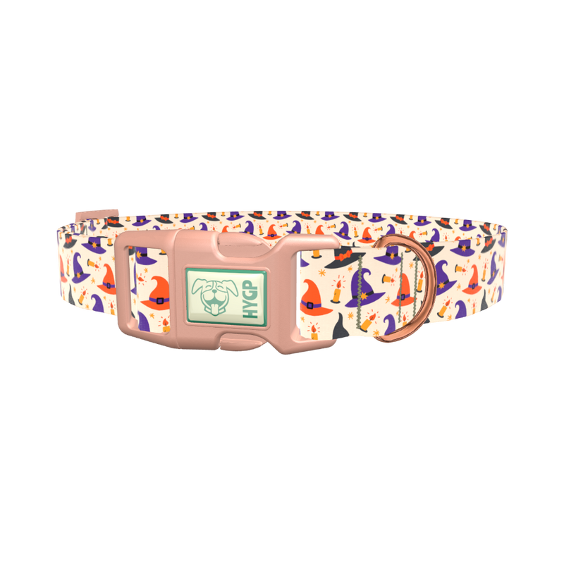 Halloween Witch Hat Dog Collar - plastic gold