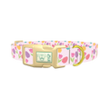 Easter Floral Dog Collar - plastic gold