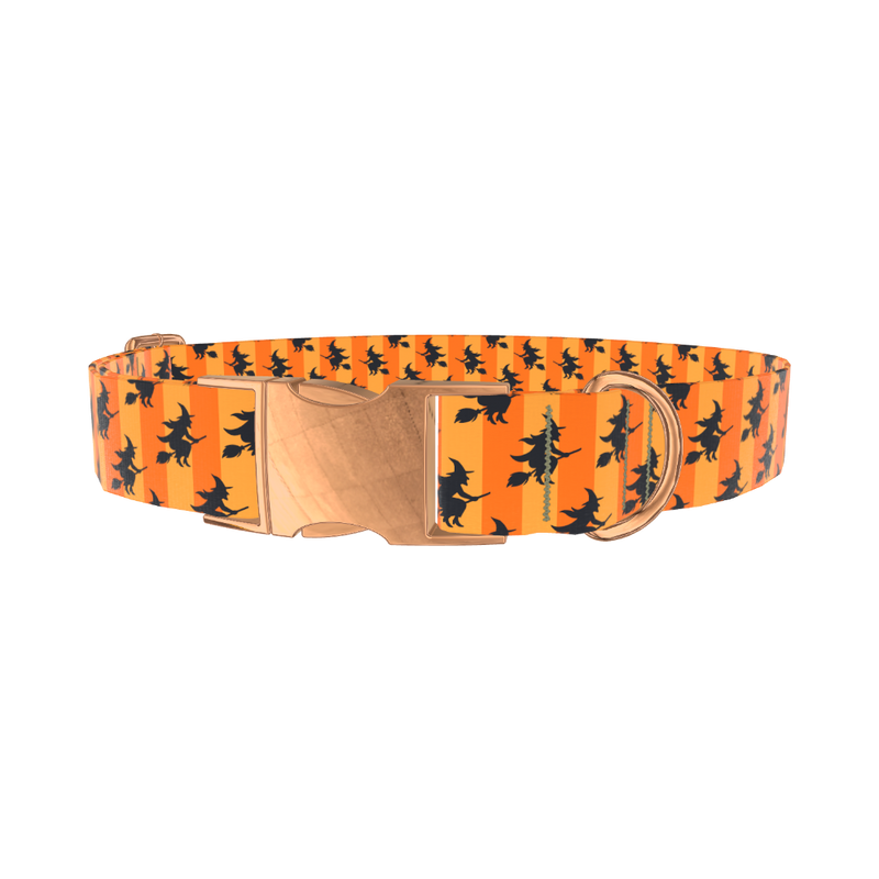 Halloween Witch Stripes Dog Collar - metal silver