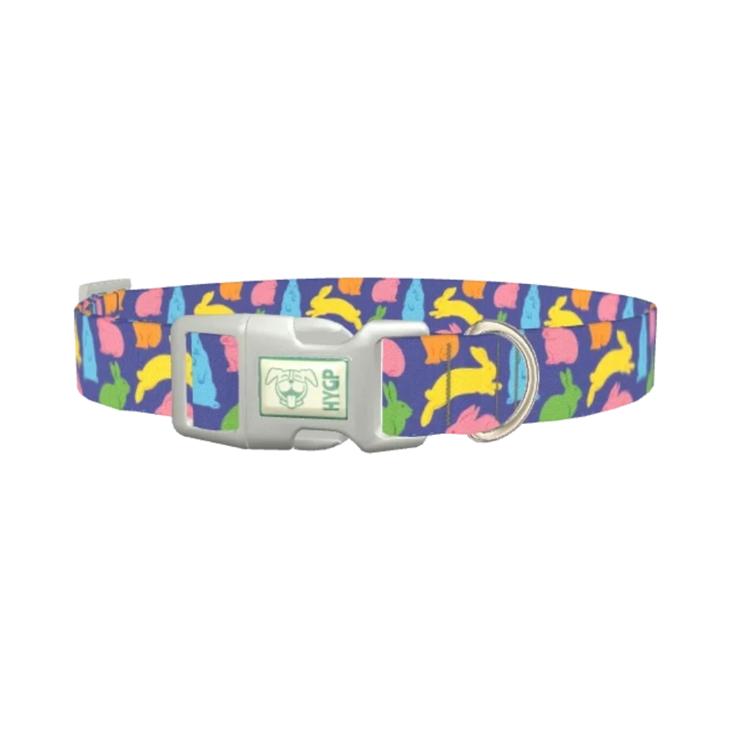 Colorful Bunny Pattern Dog Collar - plastic silver