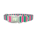 Pink and Green Stripe Dog Collar - plastic silver
