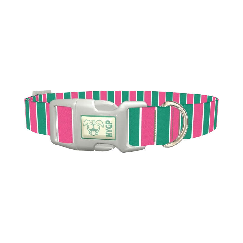 Pink and Green Stripe Dog Collar - plastic silver
