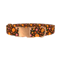 Halloween Candy Pumpkin Dog Collar - metal rose gold